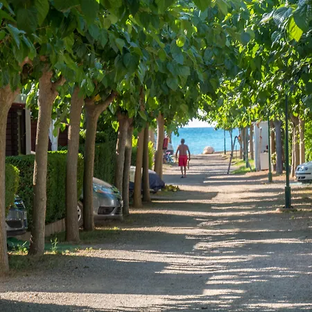 Playa Y Fiesta Campsite