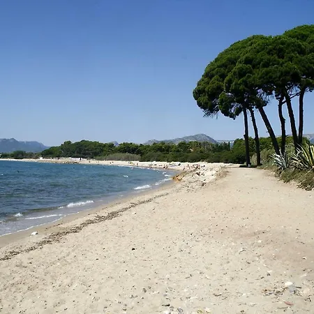 Playa Y Fiesta 미아미플라자