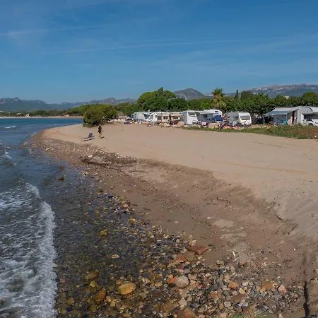 Playa Y Fiesta