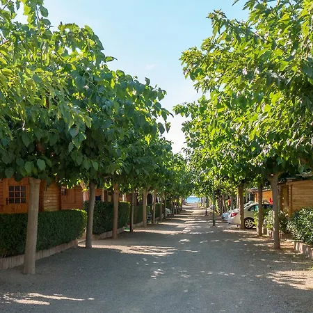 Playa Y Fiesta Campsite