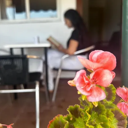 مكان تخييم Playa Y Fiesta 2*